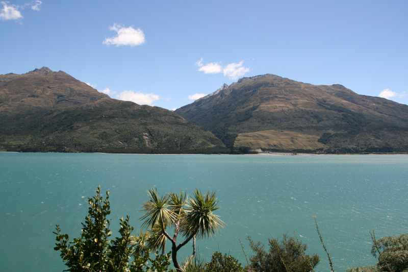 Nieuw-Zeeland 2011 - 1583